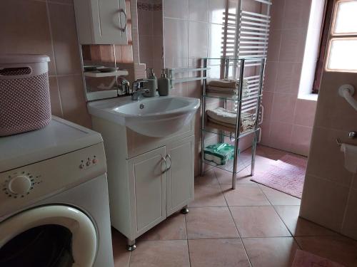 a bathroom with a sink and a washing machine at Domačija pri Ivankovih in Osilnica