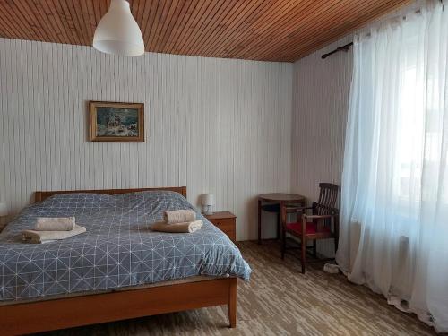 Postel nebo postele na pokoji v ubytování Domačija pri Ivankovih