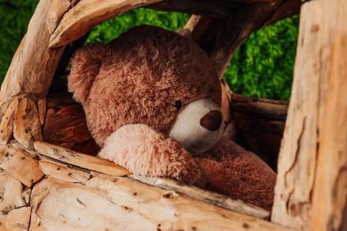 a brown teddy bear sitting in a wooden box at Hotel Sphinx in Żabia Wola