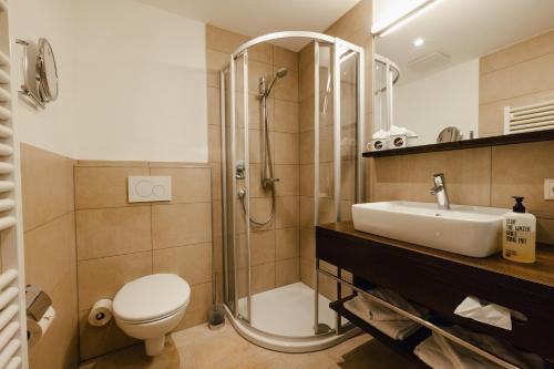 a bathroom with a shower and a toilet and a sink at Hotel Annelies in Ramsau am Dachstein