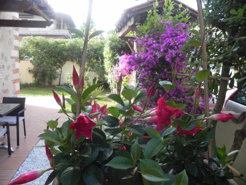a bunch of flowers in a garden at Villa Il Fortino in Lido di Camaiore