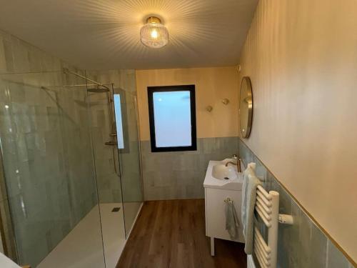 une salle de bain avec une douche en verre et un lavabo dans l'établissement Studio à Raimbeaucourt, à Raimbeaucourt
