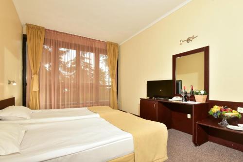 a hotel room with a bed and a mirror at Snezhanka Hotel Pamporovo-All inclusive & Half Board in Pamporovo