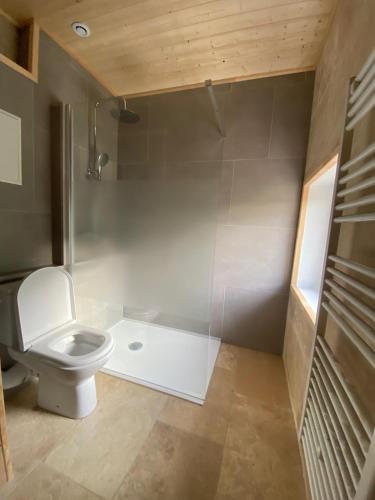 a bathroom with a toilet and a bath tub at Le Clos des 4 Bastides in Saint-Eutrope-de-Born