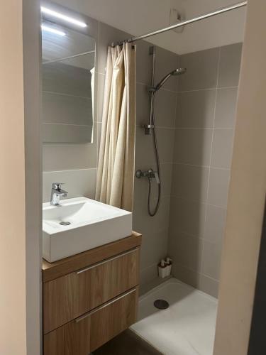 une salle de bain avec un lavabo et une douche dans l'établissement Maison avec Jardin, à Baillargues