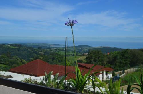 eine lila Blume auf einem Gebäude in der Unterkunft MIRADOR PLAYA DE OYAMBRE-vista al mar y jardín in Canales