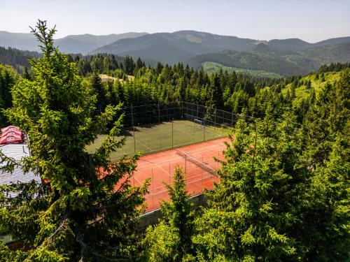 a tennis court with trees and mountains in the background at Resort EuroPark Fundata in Fundata