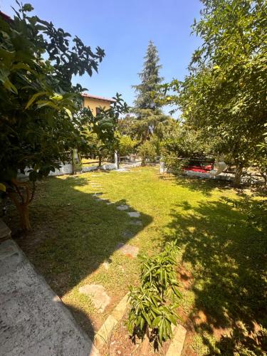 a green yard with trees and a sidewalk at Villa Christina in Vourvourou
