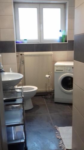 une salle de bain avec un lavabo et une machine à laver dans l'établissement Gite le figuier de l'ill, à Sélestat