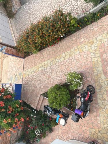 an overhead view of a motorcycle parked next to some plants at Jeti Guesthouse in Ksamil