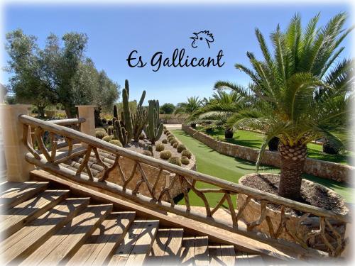 Zahrada ubytování Agroturismo Es Gallicant