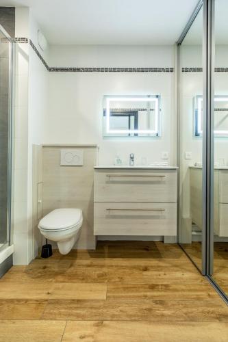 a bathroom with a toilet and a sink at At home in Clermont, Place de Jaude in Clermont-Ferrand