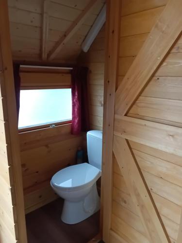 a bathroom with a toilet in a log cabin at De Ganz in Grafhorst