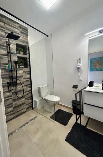 a bathroom with a shower with a toilet and a sink at Réz Apartmanok Gyula in Gyula