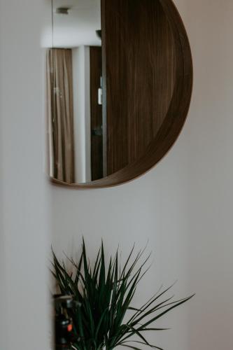 a mirror hanging on a wall next to a plant at At home in Clermont, Place de Jaude in Clermont-Ferrand