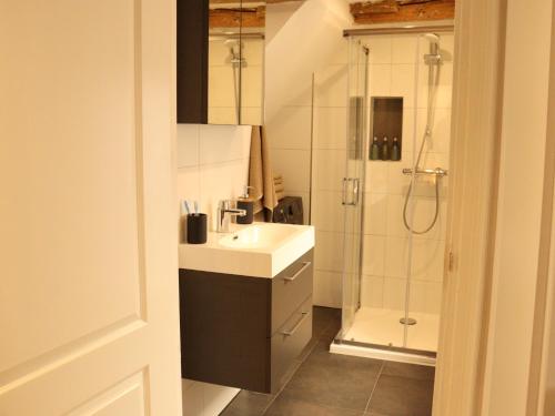 a bathroom with a sink and a shower at Coolest Apartments in Haarlem City - close to Beach and Amsterdam in Haarlem
