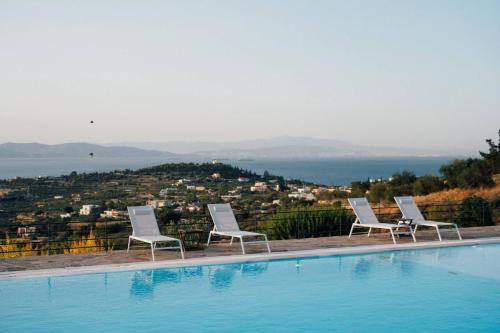 Πισίνα στο ή κοντά στο Terra Casa Private Villa in Aegina Island