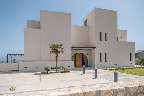 ハニア・タウンにあるNemia Luxury Residenceのヤシの木が目の前に広がる白い家