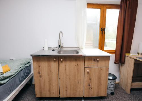 a kitchen with a sink in a room with a bed at ARK Village Liberland in Apatin