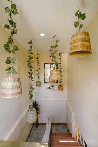 a hallway with two potted plants on the wall at Pallet Homes - Petalsville in Iloilo City