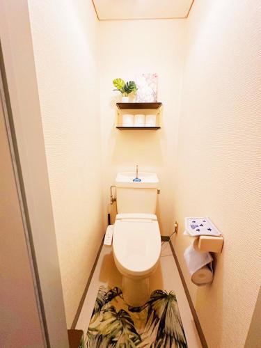 a small bathroom with a toilet in a room at メゾンドリバージュ201 in Tokyo