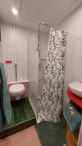 une salle de bain avec une douche, des toilettes et un lavabo dans l'établissement COUETTE et CAFÉ CHEZ ADRIEN, à Boutigny-sur-Essonnes