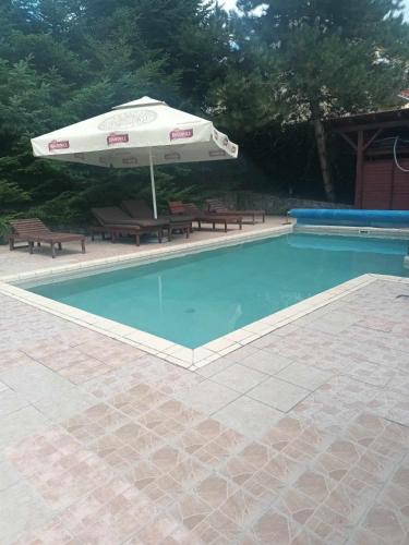 a pool with an umbrella and benches and a table and chairs at Berek Fogadó in Mátranovák