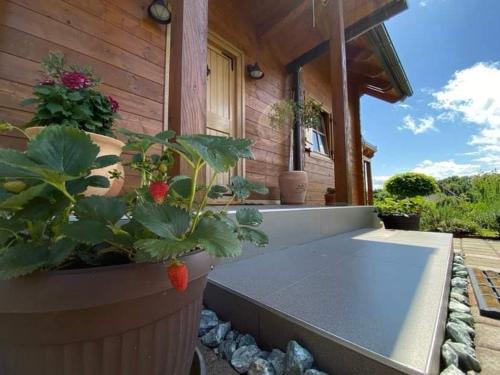 Galeriebild der Unterkunft Drvena kuća Marta in Belaj