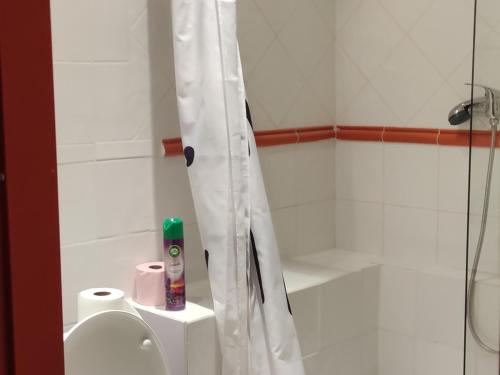 La salle de bains est pourvue d'un rideau de douche et de toilettes. dans l'établissement Duplex cosy 6 pers avec balcon, parking et casier à ski à Pra Loup - FR-1-504-144, à Uvernet