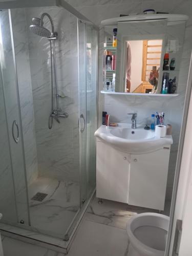 a bathroom with a shower and a sink and a toilet at Dennis in Cluj-Napoca