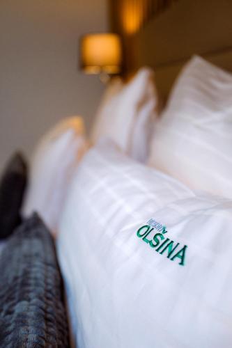 Gallery image of Resort Olšina in Horní Planá