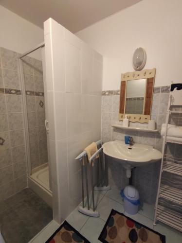 une salle de bain avec un lavabo, une douche et un miroir dans l'établissement Le Dojo, à Saint-Christophe