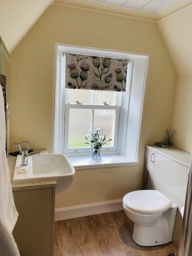 a bathroom with a sink and a toilet and a window at Burnbank Bed and Breakfast in Moffat