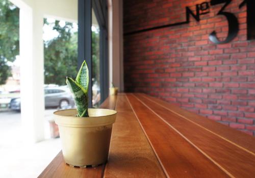 a potted plant sitting on top of a wooden table at No.31 Maple Inn in Simpang Ampat