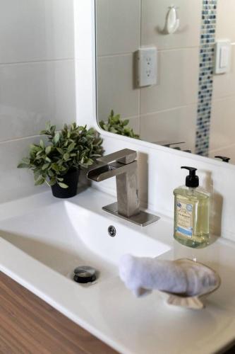 a bathroom sink with a soap dispenser and a mirror at Entire Beach Home Away from Home in Rosarito
