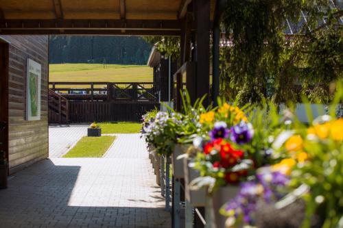 Gallery image of Resort Olšina in Horní Planá