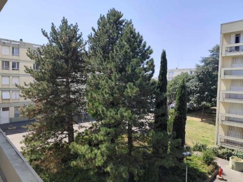 Photo de la galerie de l'établissement Laya, à Valence