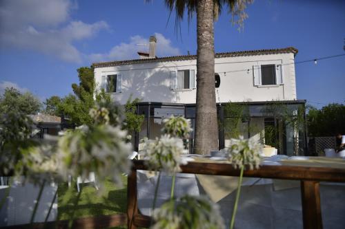 a white house with a palm tree in front of it at Torre Galli-Dimora di Campagna in Gasponi