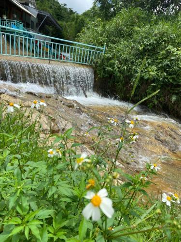 a waterfall with flowers in front of a river at Gạo hạt dẻ homestay in Bao Loc