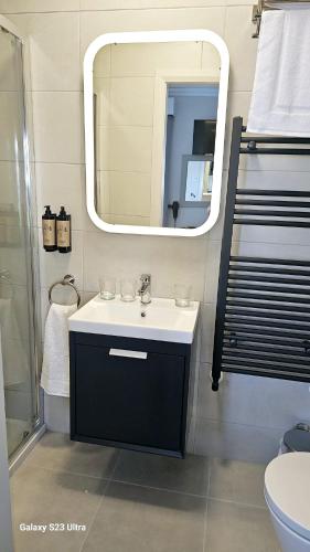 a bathroom with a sink and a mirror at The Quay lodge in Wexford