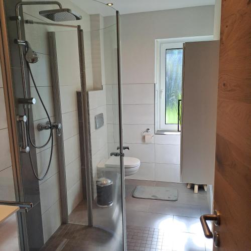 a bathroom with a shower and a toilet at Fewo Verena mit 2 Schlafzimmern in Diemelsee