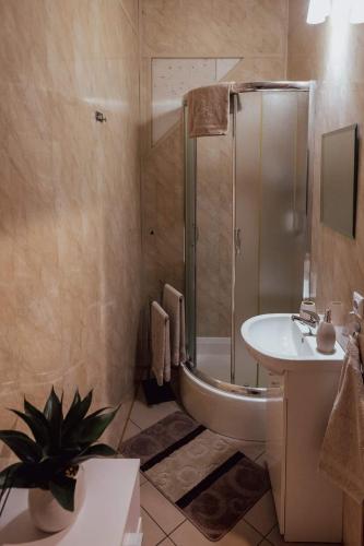 a bathroom with a shower and a toilet and a sink at Apartament Milka in Tolkmicko