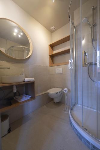 une salle de bain avec une douche, des toilettes et un lavabo dans l'établissement GEWURZTRAMINER - Studio au pied du vignoble - rénové récemment - parking gratuit, à Riquewihr
