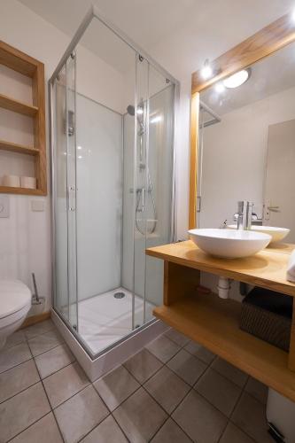 une salle de bain avec une douche en verre et un lavabo dans l'établissement PINOT GRIS - Charmant studio au cœur du vignoble - parking gratuit, à Riquewihr