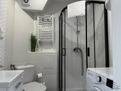 a bathroom with a shower and a toilet and a sink at Małe Pieniny in Szczawnica