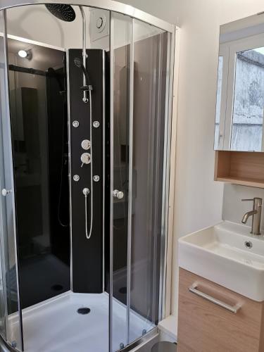 a shower with a glass door next to a sink at Colocation de luxe à Tourcoing avec jardin in Tourcoing