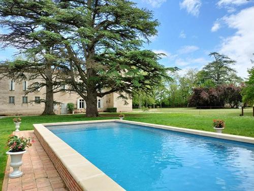 une piscine en face d'une maison avec un arbre dans l'établissement L'Orangerie 14 personnes, à Lempaut