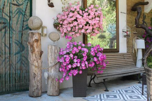 Studio Malou, cuisine, salle d'eau, terrasse amenagéeにある庭