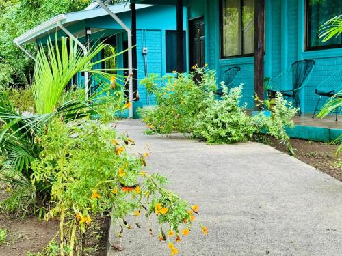 Φωτογραφία από το άλμπουμ του The Secret Eco Lodge σε Tortuguero