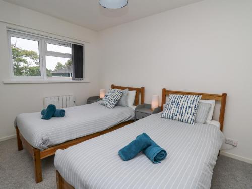two beds in a room with blue pillows on them at 28 Coedrath Park in Saundersfoot